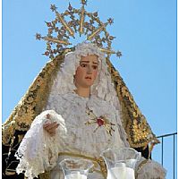 Producto: 7697