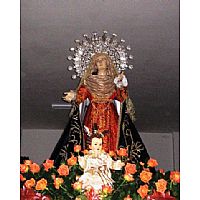 Producto: 7750